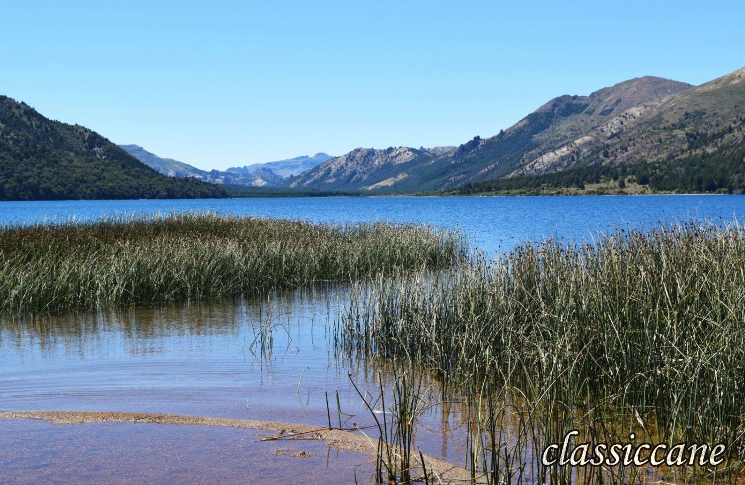 Pesca a mosca, collezionismo, foto e viaggi di pesca.